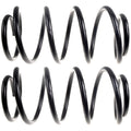 MOOG 80919 Rear Coil Spring Set