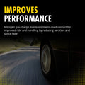 Monroe 210256 Front Restore OEM Replacements