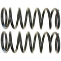 MOOG 81407 Rear Coil Spring Set