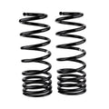 Old Man Emu 2866 Rear Coil Spring Set