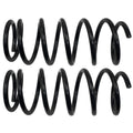 MOOG 81629 Front Coil Spring Set