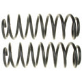 MOOG 81053 Rear Coil Spring Set