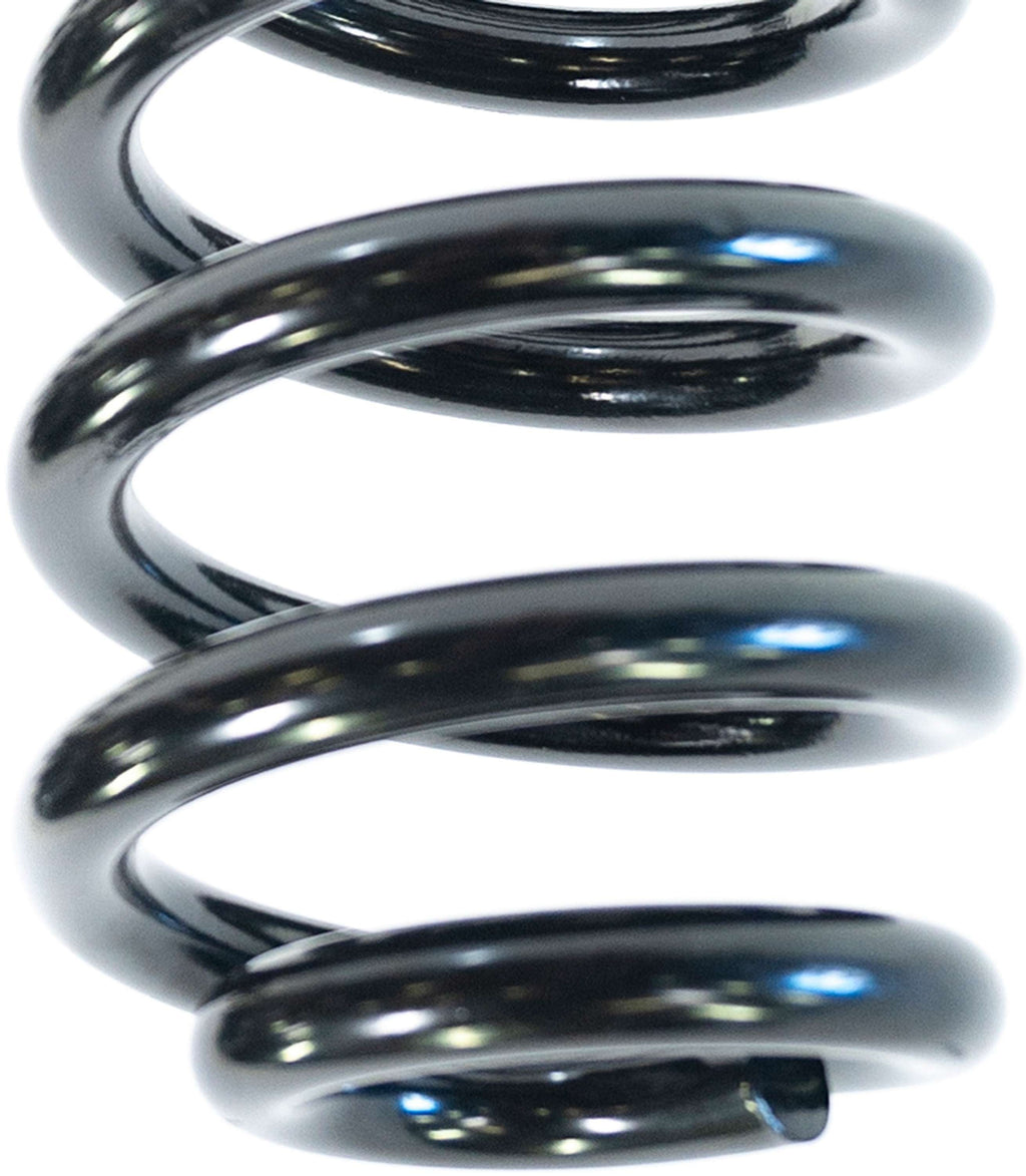 Camburg Ford F-250/350 4wd '05-23 2.50" Performance Coil Springs (pair) (gas)