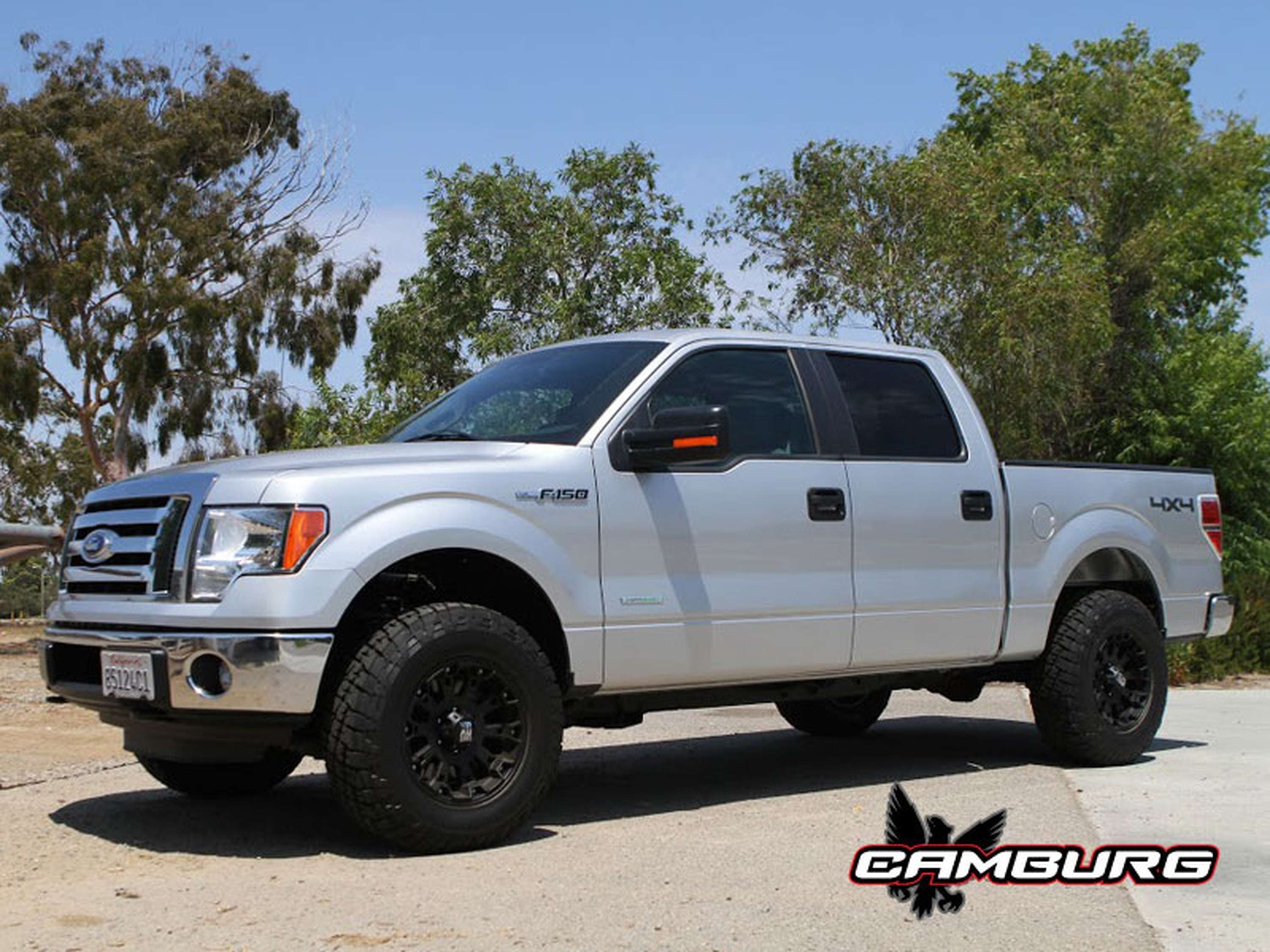 Camburg Ford F-150 2wd/4wd '04-08 1.25" Performance Uniball Upper Arms