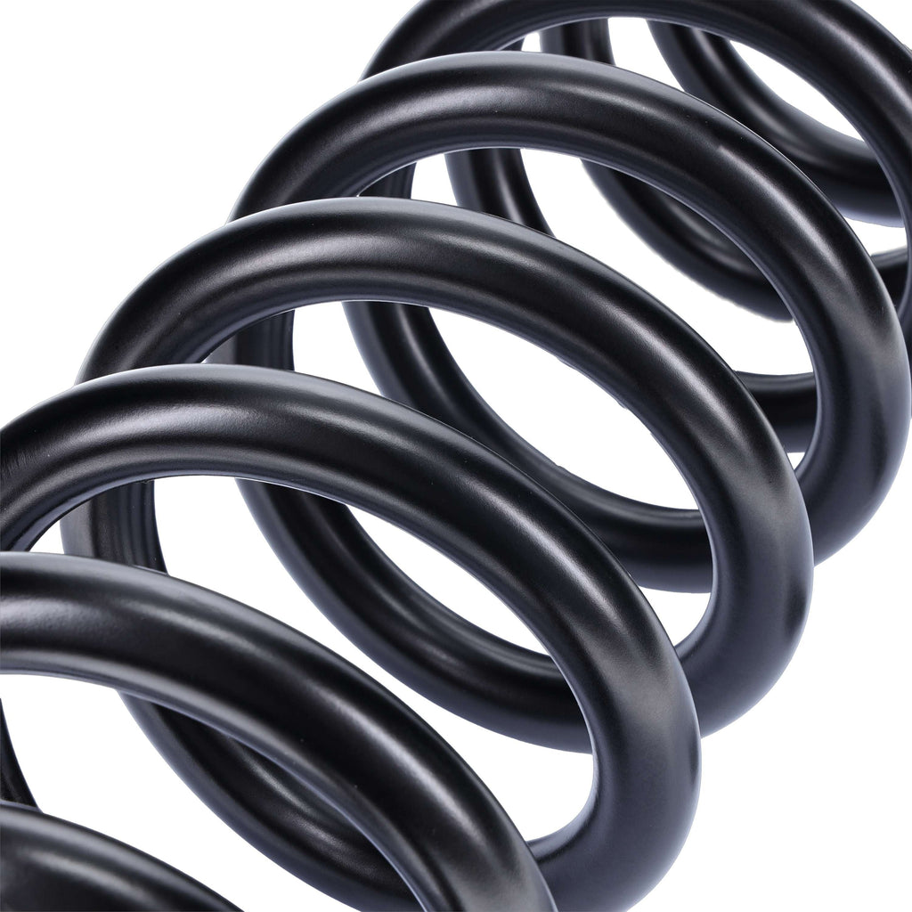 Camburg Ford F-250/350 4wd '05-23 2.50" Performance Coil Springs (pair) (diesel)