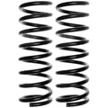 MOOG 81005 Rear Coil Spring Set