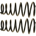MOOG 81429 Rear Coil Spring Set