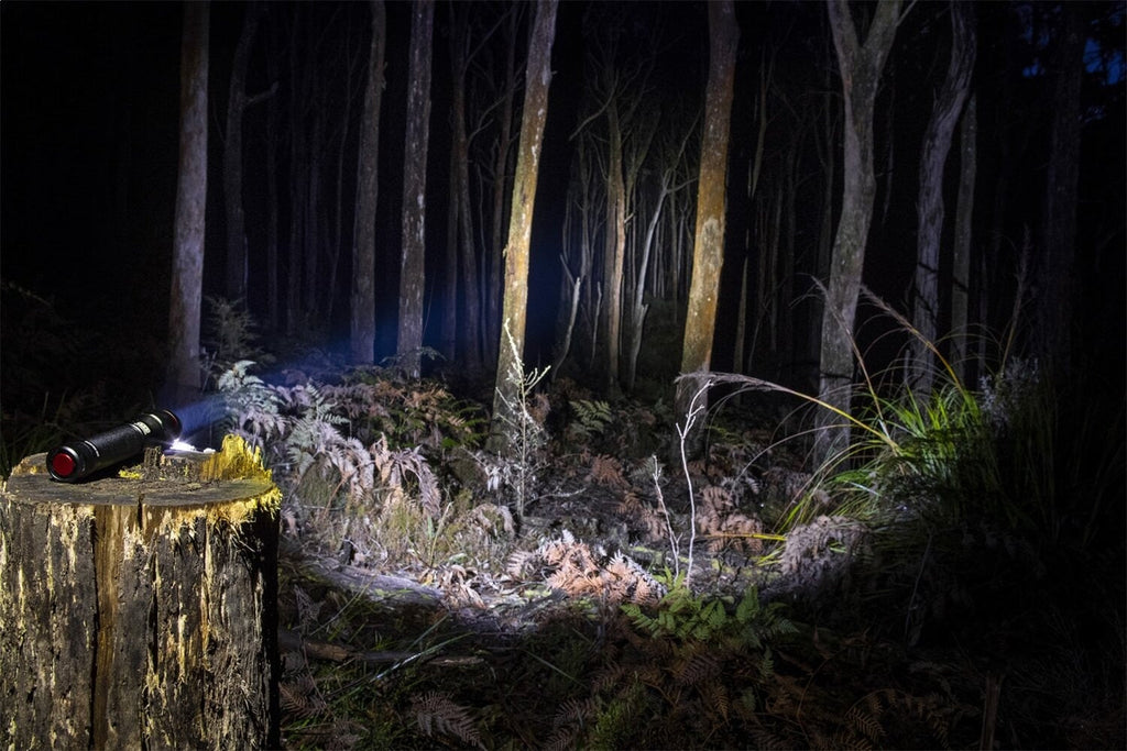 ARB Pureview 800 Flashlight