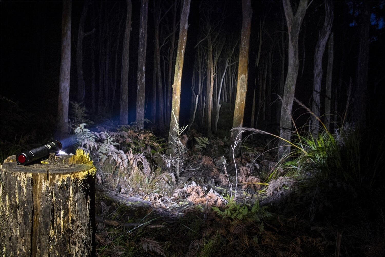 ARB Pureview 800 Flashlight