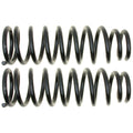 MOOG 81165 Rear Coil Spring Set