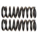 MOOG 81182 Front Coil Spring Set