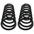 MOOG 81119 Rear Coil Spring Set