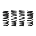 Eibach E10-20-044-02-22 Pro-Kit Set of 2 Springs