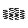 Eibach E10-215-001-01-22 Special Edition Pro-Kit Coil Spring Lowering Kit