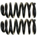 MOOG 81413 Rear Coil Spring Set