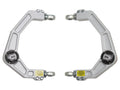 Icon UCA Delta Joint Kit 2004-2020 Ford F-150