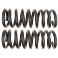 MOOG 81184 Front Coil Spring Set