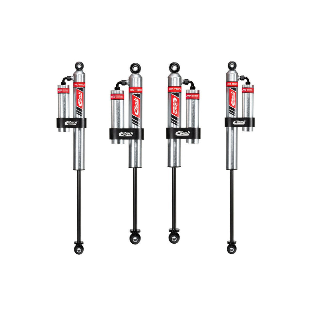 Eibach E60-34-001-02-22 Pro-Damper Kit