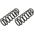 MOOG 81671 Rear Coil Spring Set