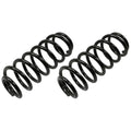 MOOG 81663 Rear Coil Spring Set