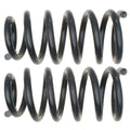 MOOG 81095 Rear Coil Spring Set