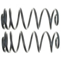 MOOG CC81063 Rear Coil Spring Set