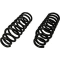MOOG 81760 Front Coil Spring Set