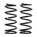 Old Man Emu 2901 Rear Coil Spring Set