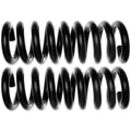 MOOG 81006 Front Coil Spring Set